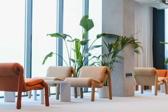 Clean modern office lounge seating area with armchairs and plants, professionally maintained